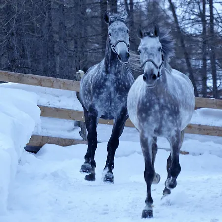 Grand Zermatterhof Zermatt