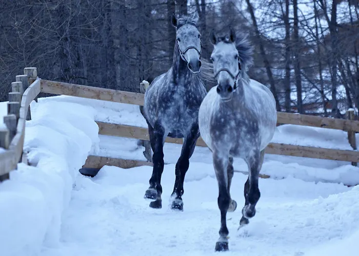 Grand Zermatterhof Zermatt
