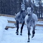 Grand Zermatterhof Zermatt